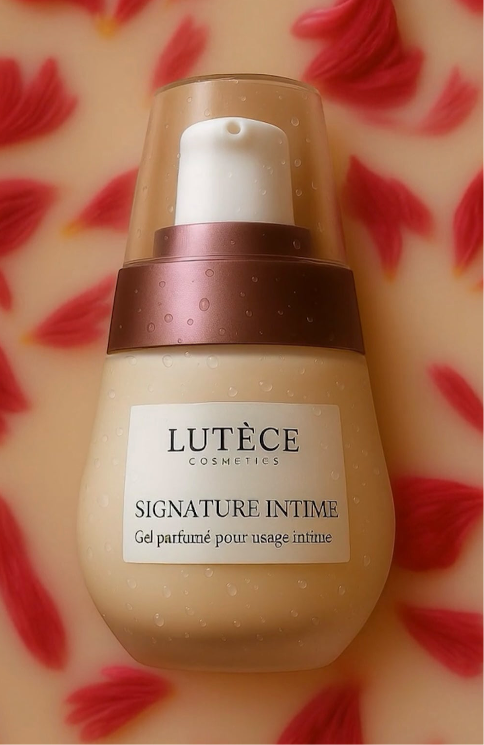 Pack Signature de Noël