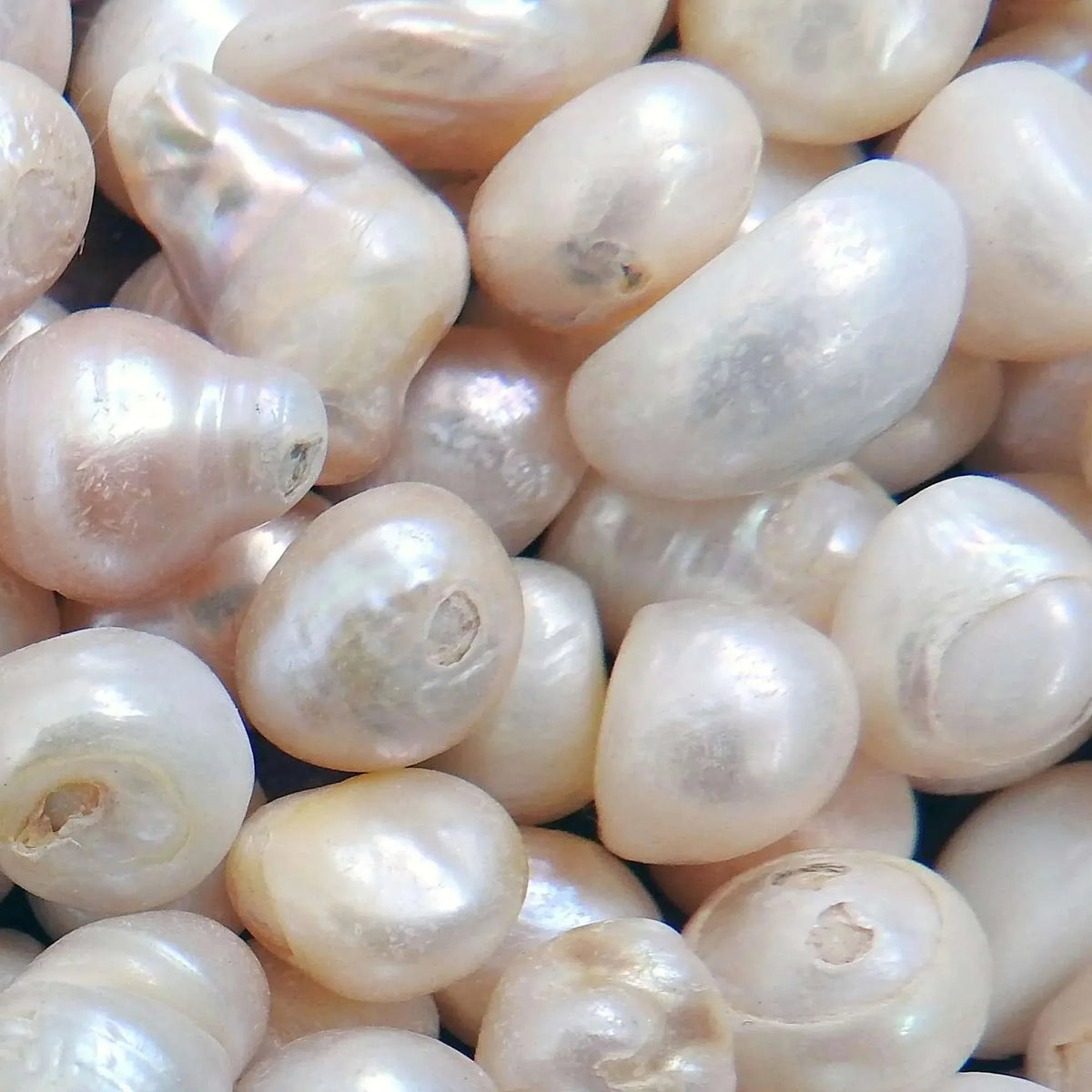 Pearl powder