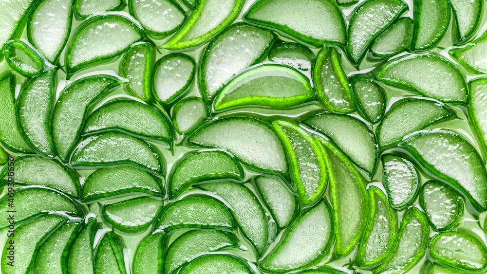 Aloe Vera
