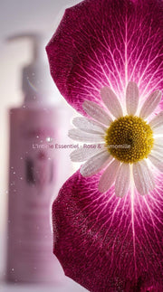 Gel de Toilette Intime - L’Essentiel