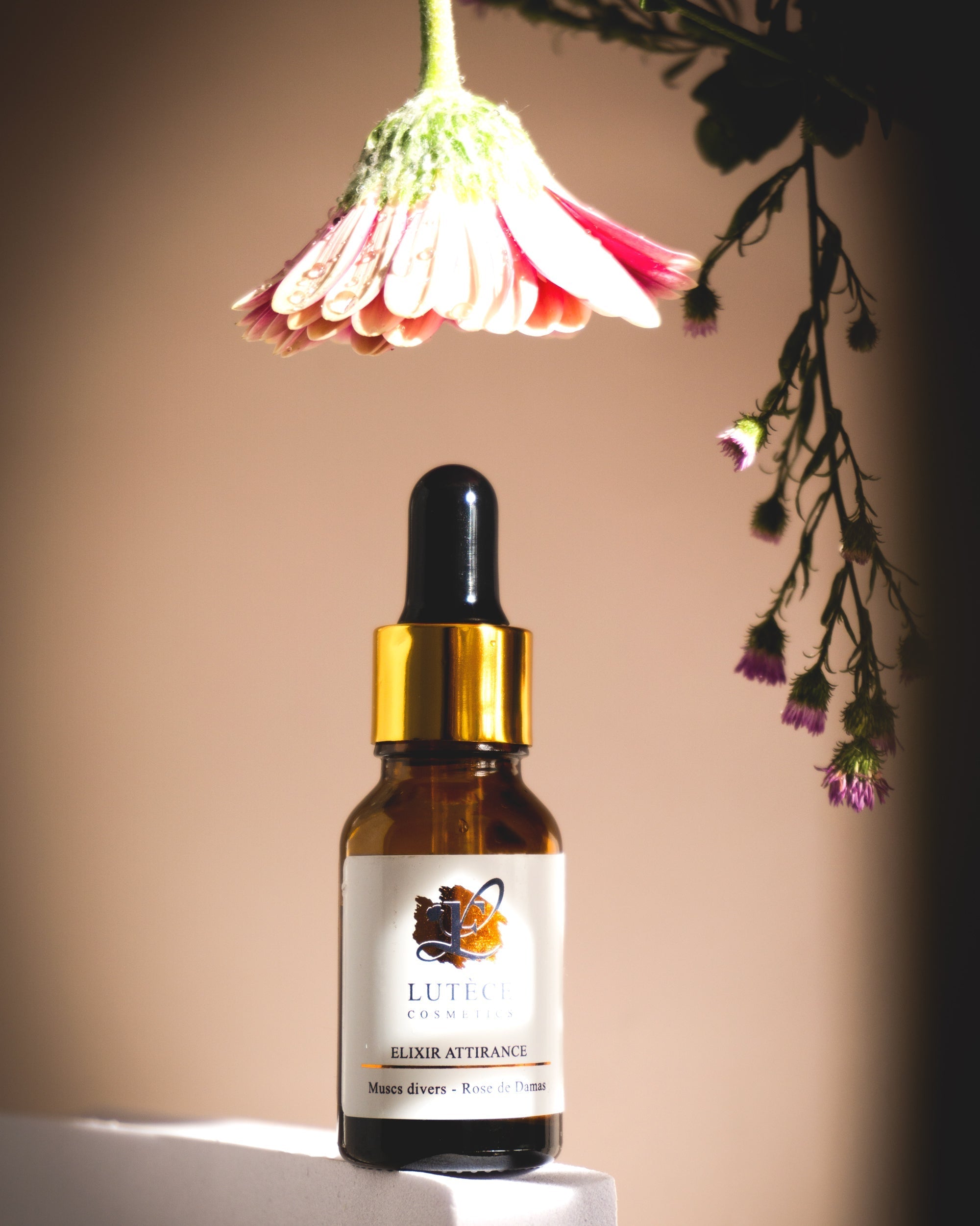 🎁 Elixir Attirance (100% off)